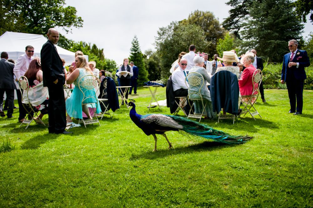 Swiss Garden Shuttleworth Wedding - Laura & Kyle