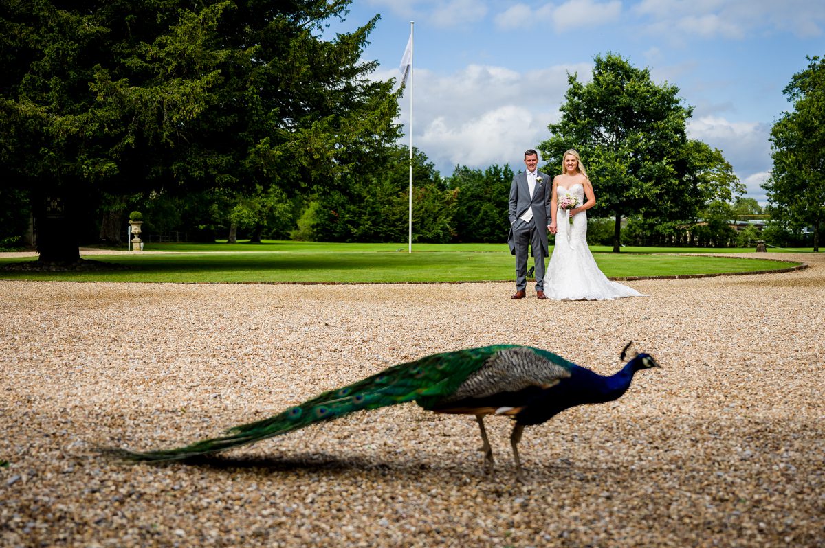 Northbrook Park Wedding - Kerie & James