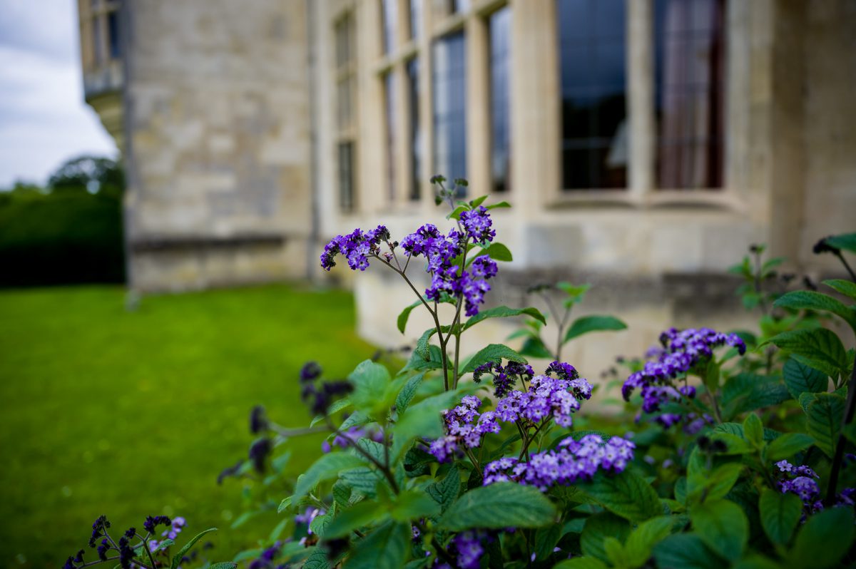 Hartwell House Wedding - Monika & Lee