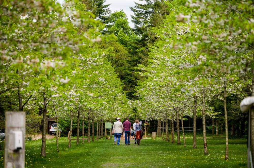 Evenley Wood Garden Wedding - Emma & John